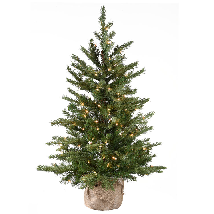 National Tree Co. Belson Nordic Spruce Green Realistic Artificial